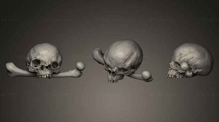 Анатомия скелеты и черепа (Череп Хирона с костями, ANTM_0039) 3D модель для ЧПУ станка